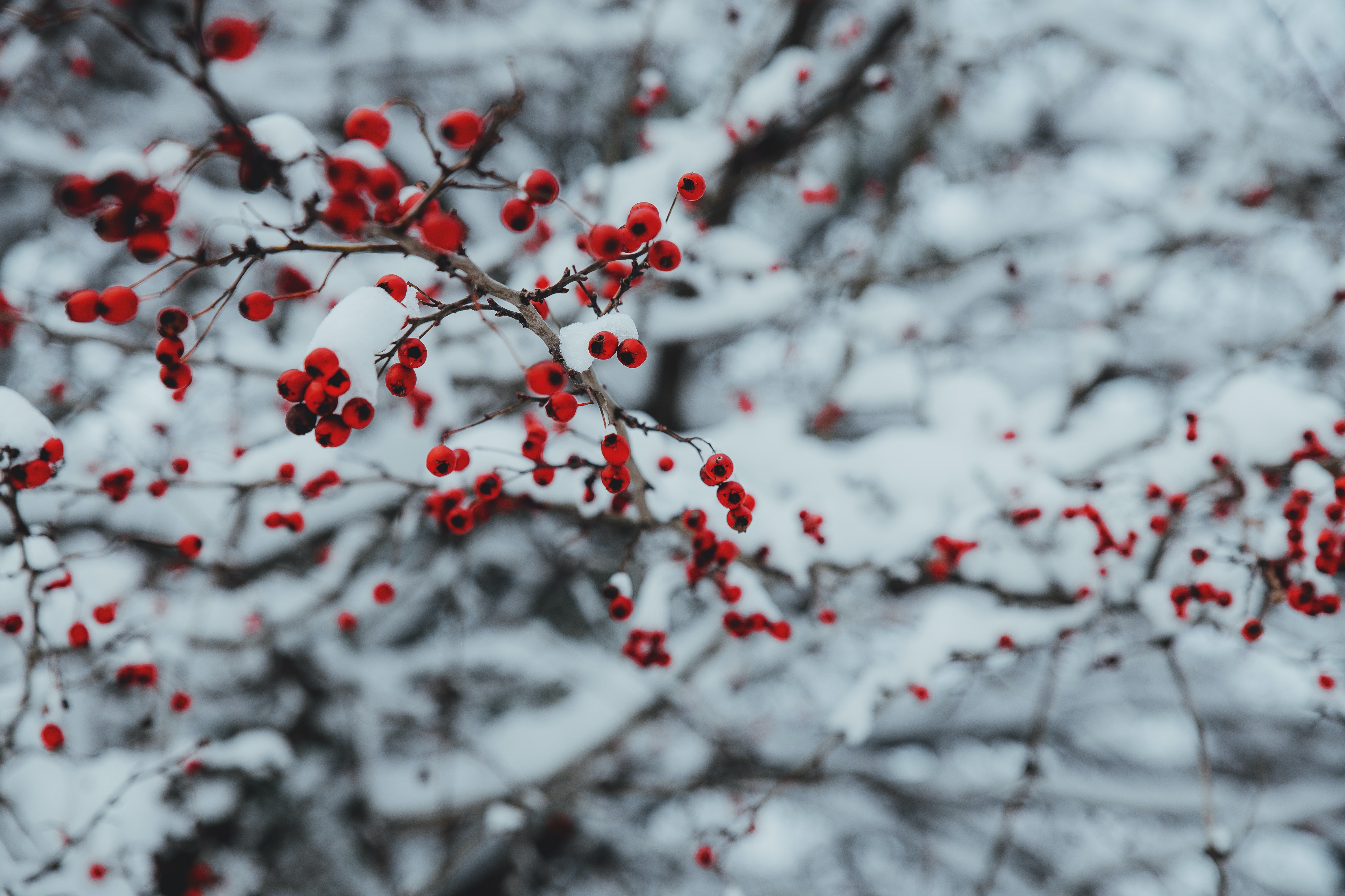 Frohe Weihnachten und einen guten Start ins neue Jahr