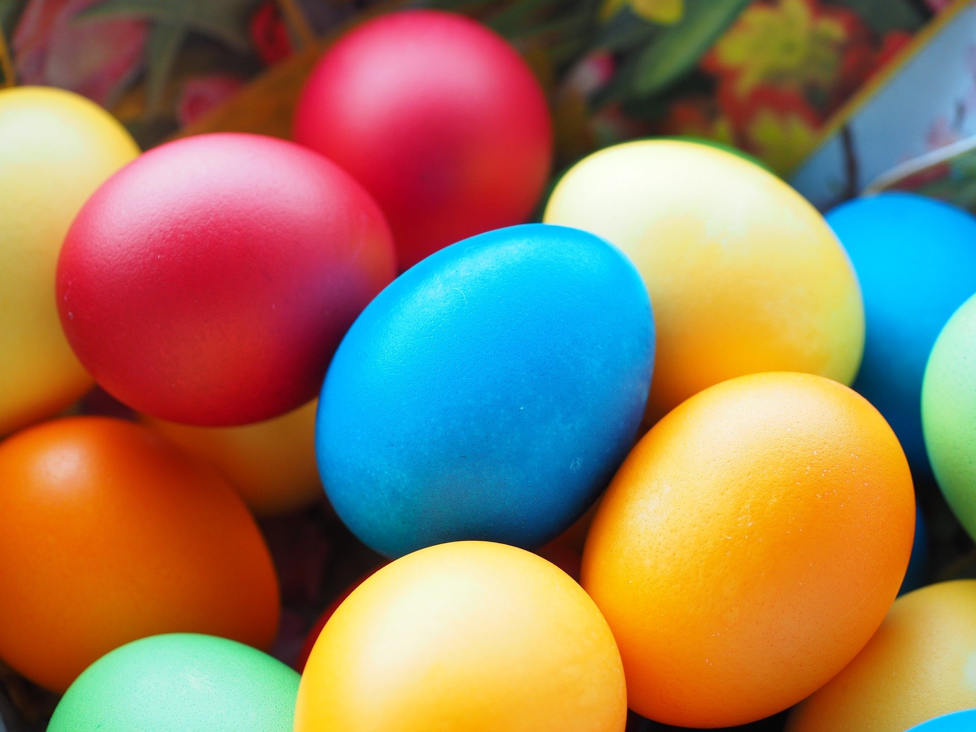 Frohe Ostern! 